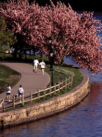 Philadelphia Photos: Copyright: Philadelphia Convention & Visitors Bureau